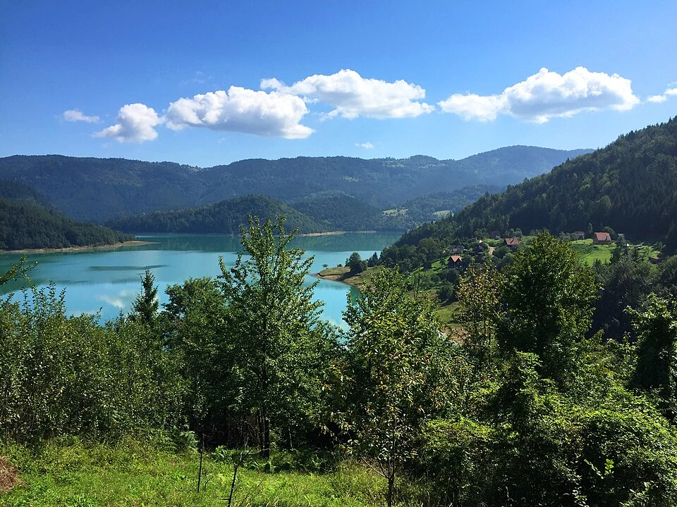zaovinsko-jezero-tara.webp