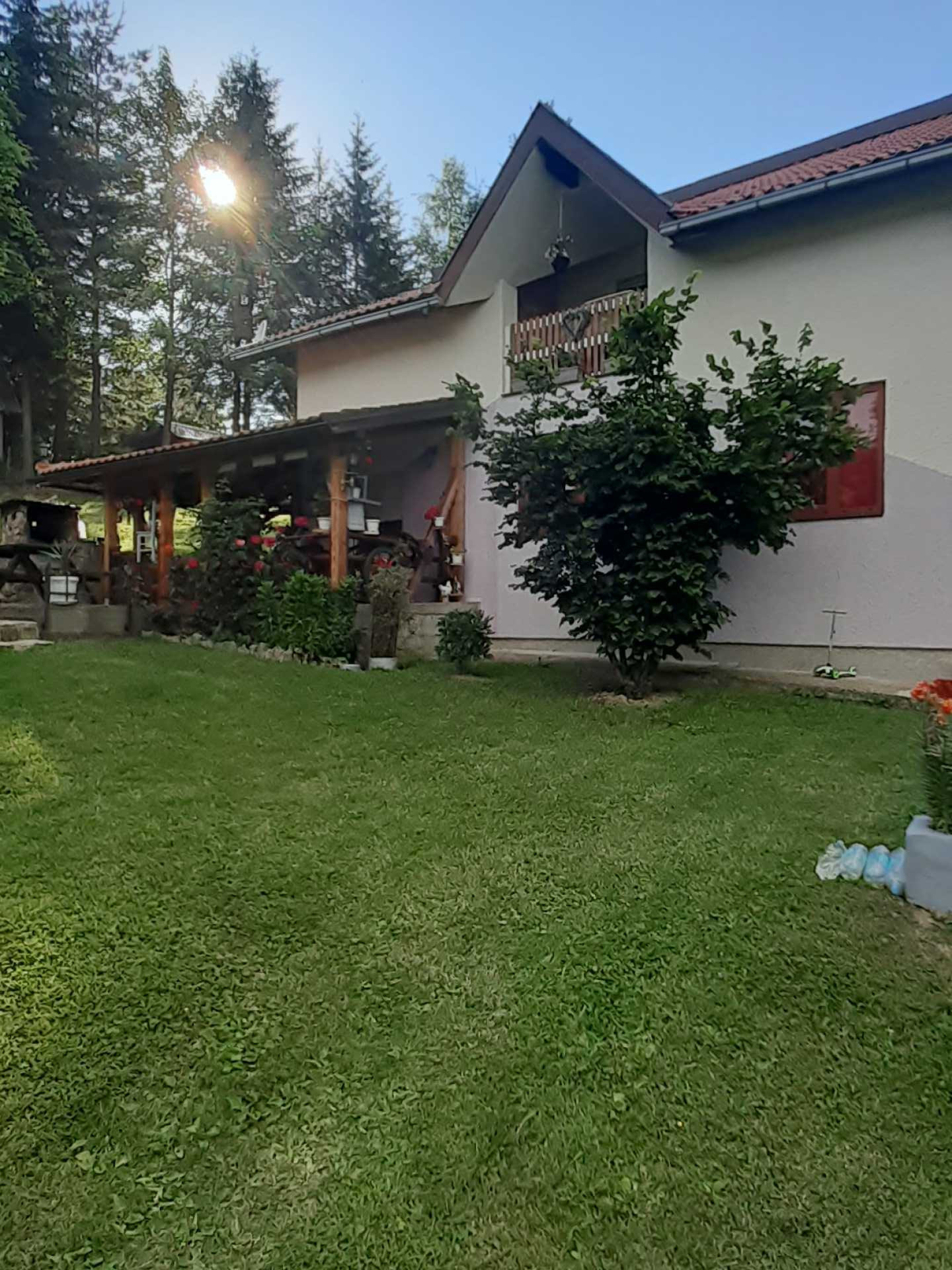 Miljin gaj