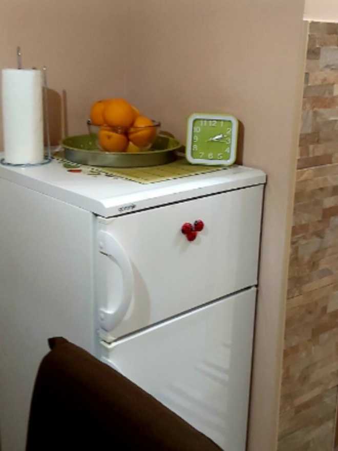 Chic apartment -Dorćol