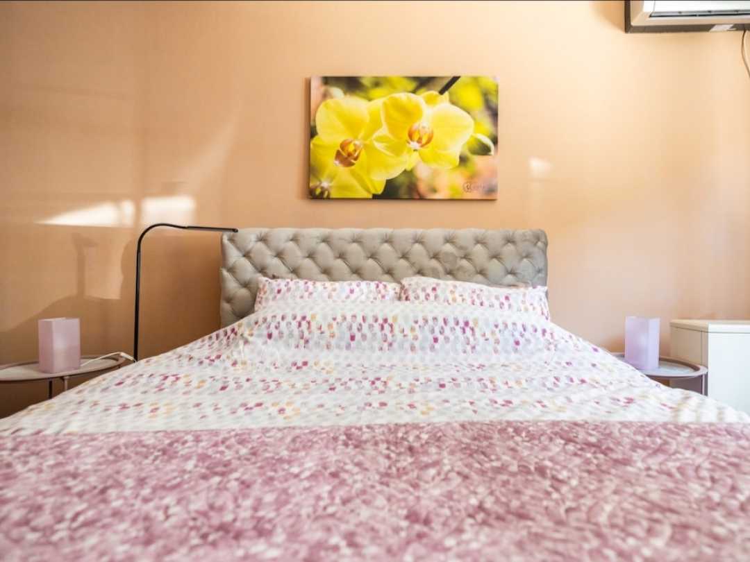 Chic apartment -Dorćol