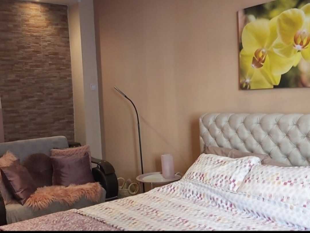Chic apartment -Dorćol