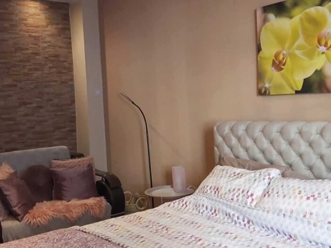 Chic apartment -Dorćol