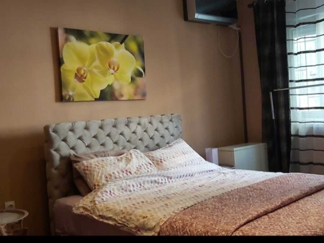 Chic apartment -Dorćol