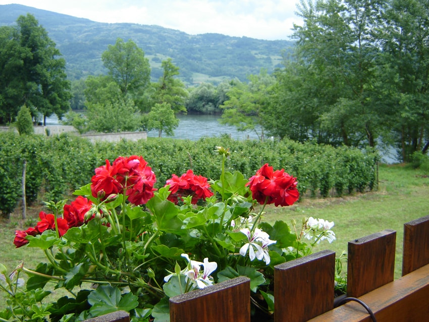 Drinska Tisina Vrhpolje
