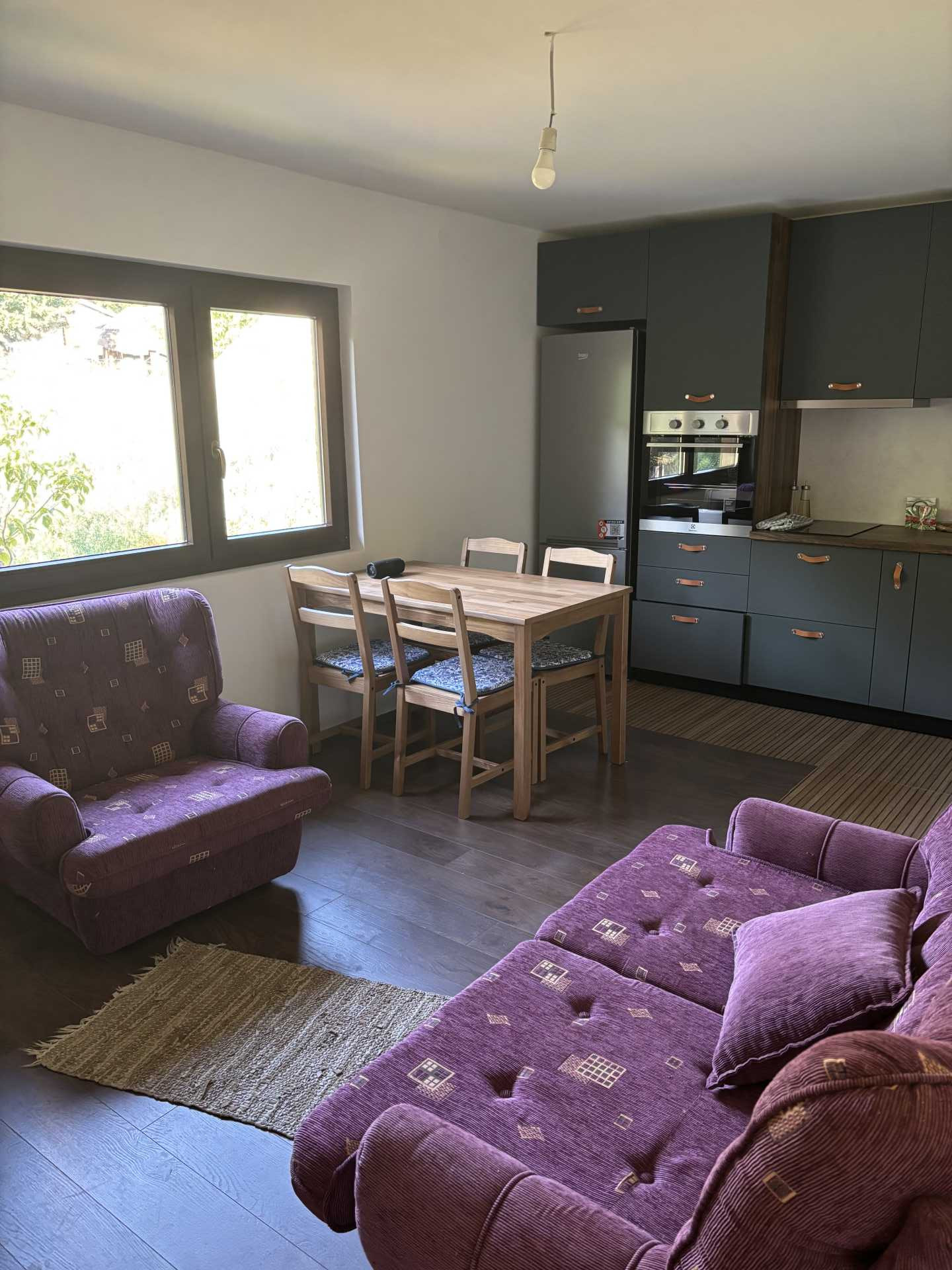 Apartman Mica i Živo