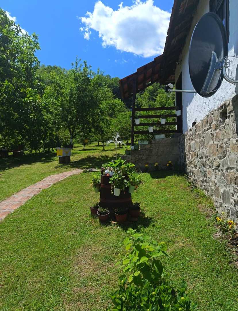 Domacinstvo Jevtic