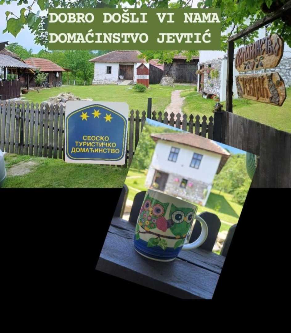Domacinstvo Jevtic