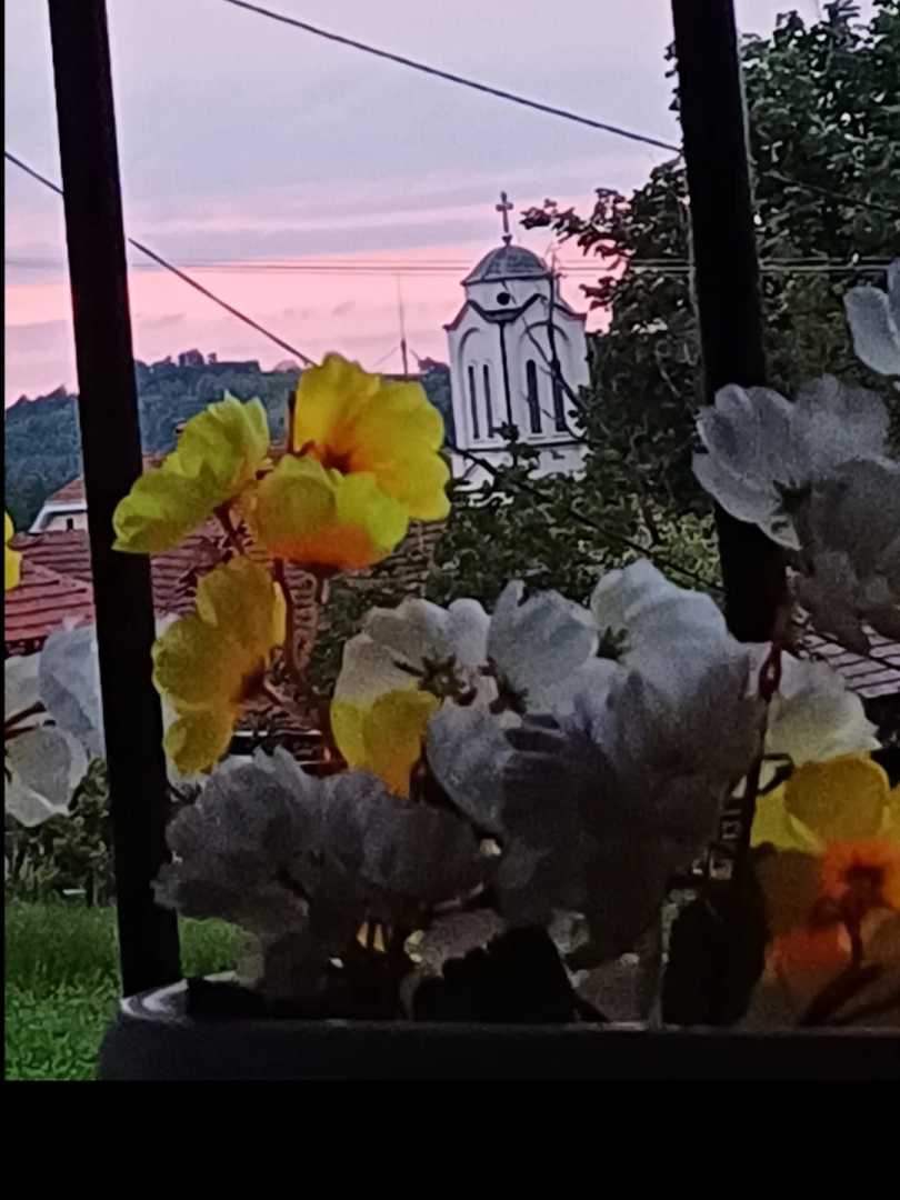 Domacinstvo Jevtic