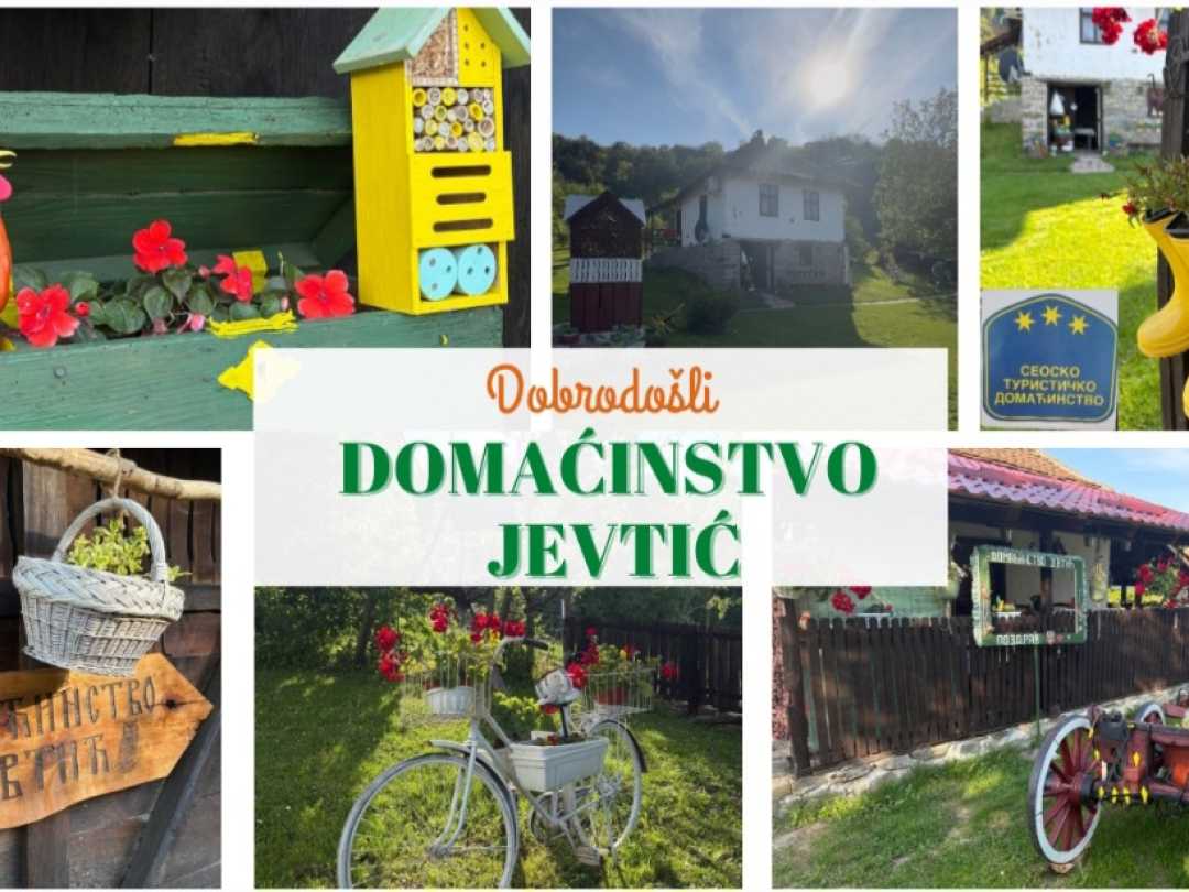 Domacinstvo Jevtic