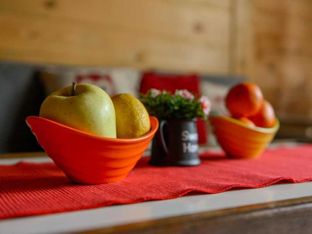 Vikendica Drinska Vila