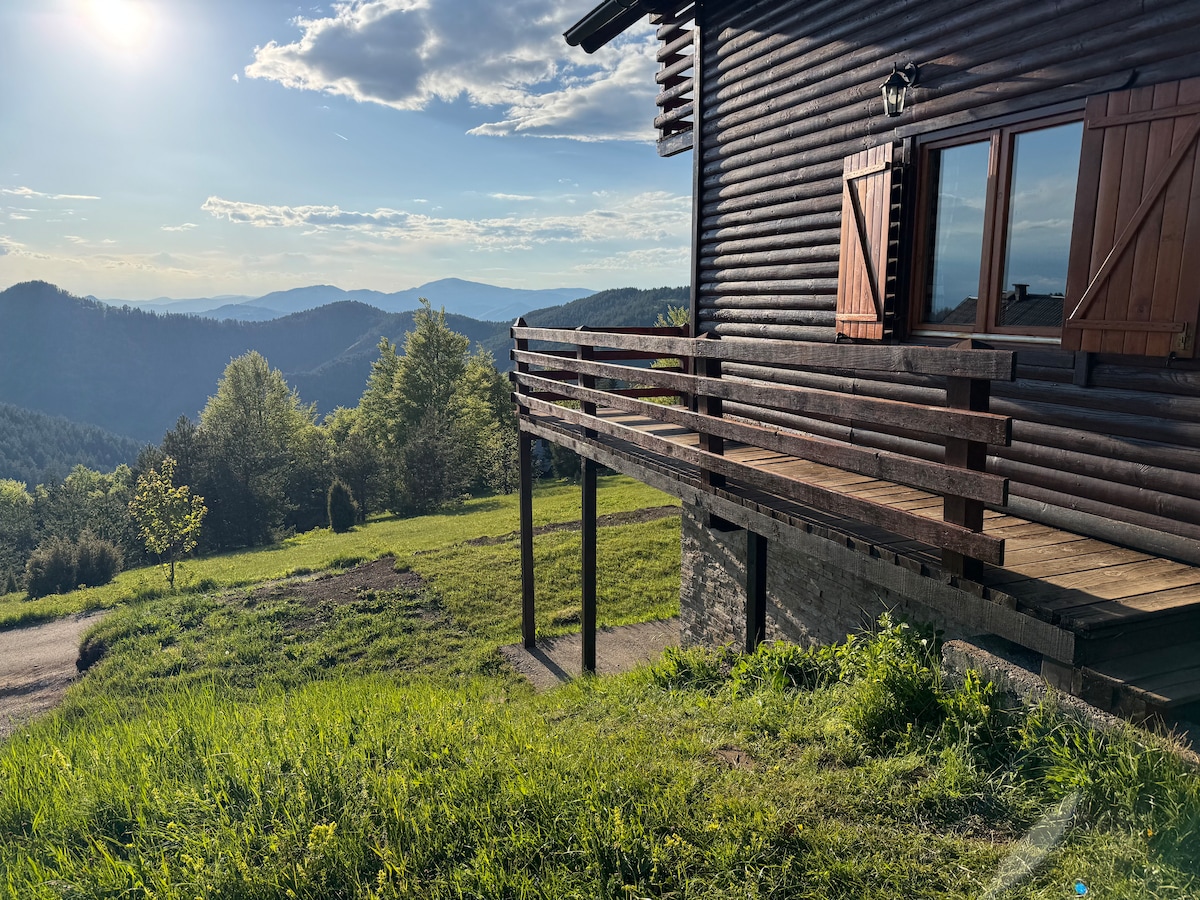 Brvnara Jevtić – Na vrhu Tare