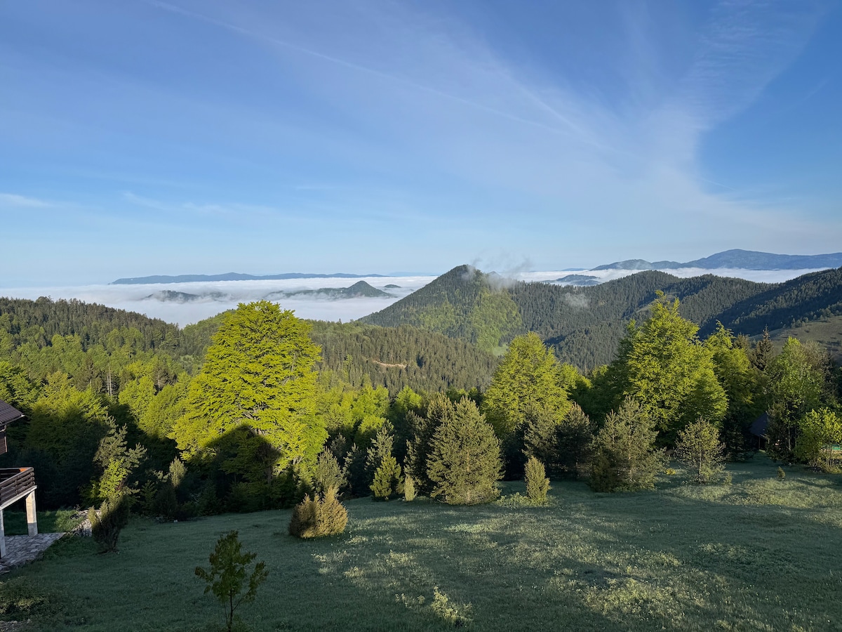 Brvnara Jevtić – Na vrhu Tare