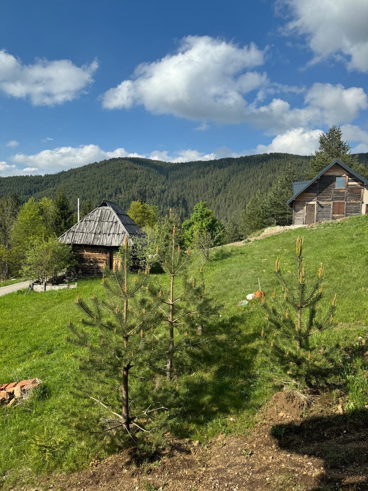Brvnara Jevtić – Na vrhu Tare