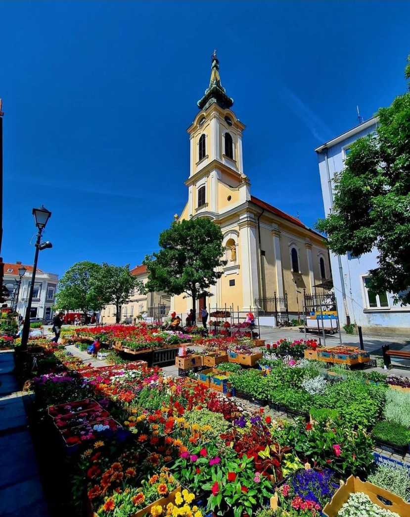 Zemun Central