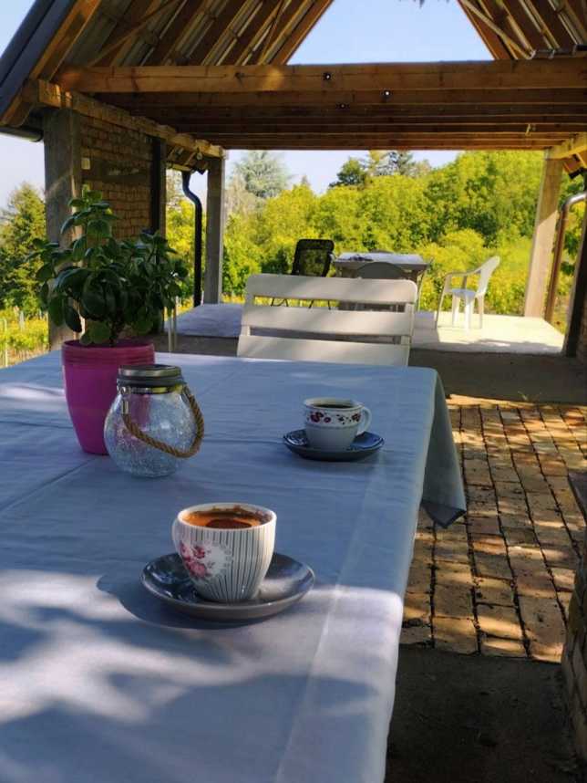 Vikendica Smokvica